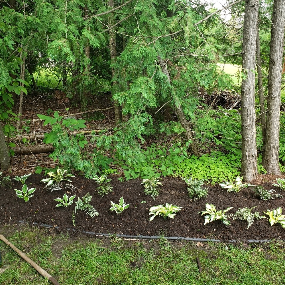 Meet your Posher, Declain